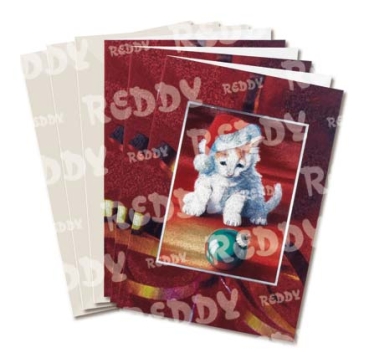 Reddy Cards Metallgravur Doppelkarte Motiv Kätzchen