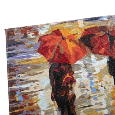Craft Buddy PBN-3030-15 Painting by Numbers Framed Kit Malen nach Zahlen In The Rain
