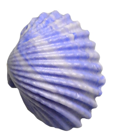 Preview: VIVA Decor Patchy 3D Silikonform Muscheln 10 Motive