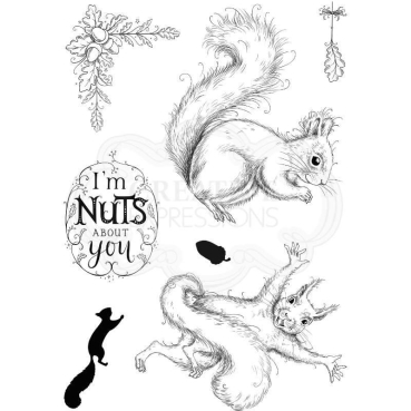 Preview: Pink Ink Designs A5 Clear Stamp Transparente Stempel Secret Squirrel