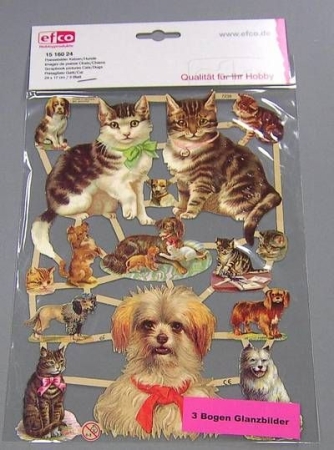 Poesiebild 24 x 17 cm Katzen / Hunde