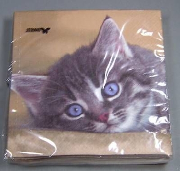 Katze je Stück