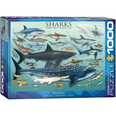 Eurographics Puzzle mit 1000 Teilen Haie Sharks