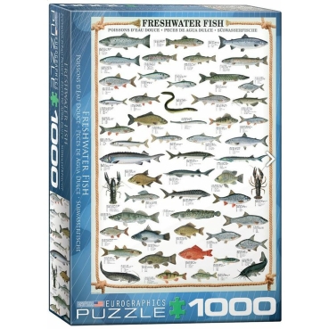 Eurographics Puzzle mit 1000 Teilen Freshwater Fish Süßwasserfische