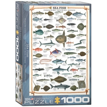 Eurographics Puzzle mit 1000 Teilen Sea Fish Salzwasserfische
