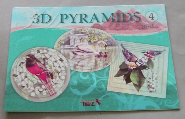 TBZ Buch Nr. 4 3D Pyramidentechnik