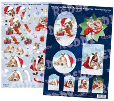 Reddy 3D Stanzbogen-Set "Hunde und Katzen" weihnachtlich