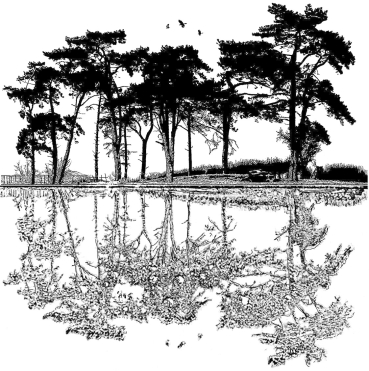 Crafty Individuals Unmounted Rubber Stamps Dawn Reflections