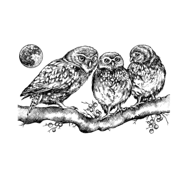 Crafty Individuals Unmounted Rubber Stamps Owl Family