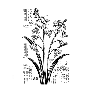 Crafty Individuals Unmounted Rubber Stamps Counting Bluebells
