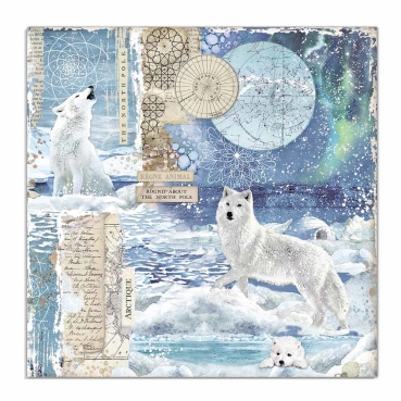 Preview: Stamperia Doppelseitiges Papier Antarctic Wolf
