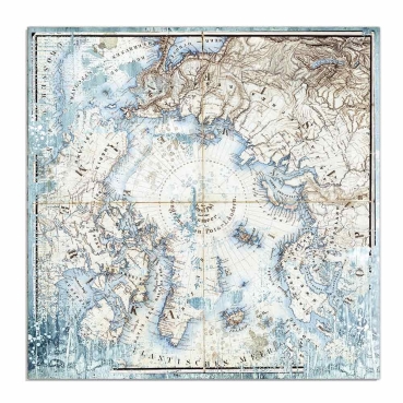 Preview: Stamperia Doppelseitiges Papier Antarctic Arctic