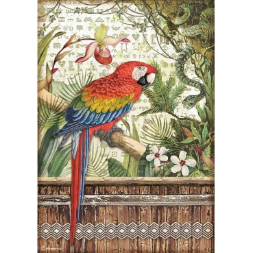 Stamperia A4 Rice Paper Reispapier Amazonia Parrot