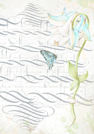 Preview: Stamperia Clear Prints  Pack 6 assorted Acetate Sheets A4 Romantic Garden House
