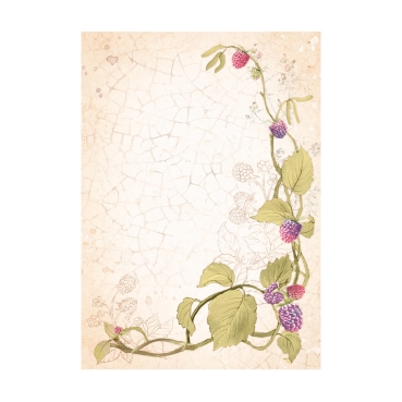 Preview: Stamperia A6 Rice Paper Reispapier Set Woodland Backgrounds