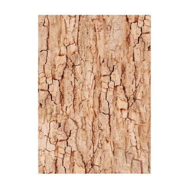 Stamperia A6 Rice Paper Reispapier Set Woodland Backgrounds