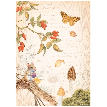 Stamperia A4 Rice Paper Reispapier Set Woodland