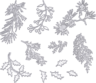 Preview: Sizzix ThinlitsDie Set Holiday Greens Mini by Tim Holtz