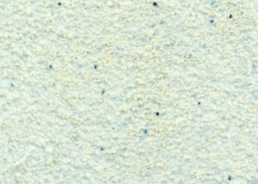 Preview: VIVA Decor Strukturpaste Weiss 250 ml