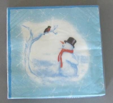 Schneemann und Vogel
