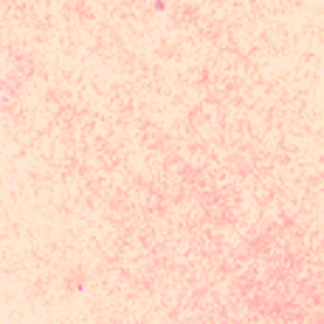 VIVA Decor Paper-Soft-Color 75 ml apricot