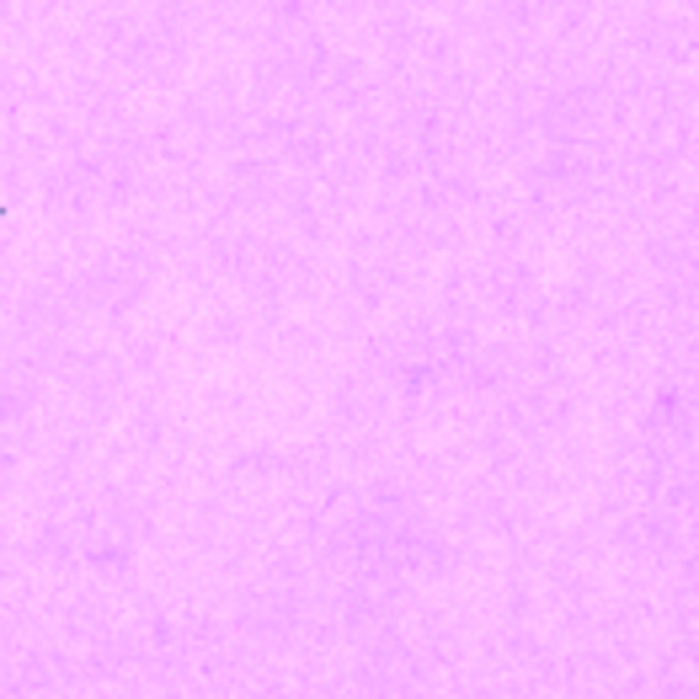 VIVA Decor Paper-Soft-Color 75 ml rosa