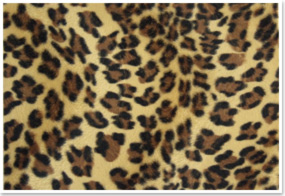 Reddy Cards Plüschkarton Panther