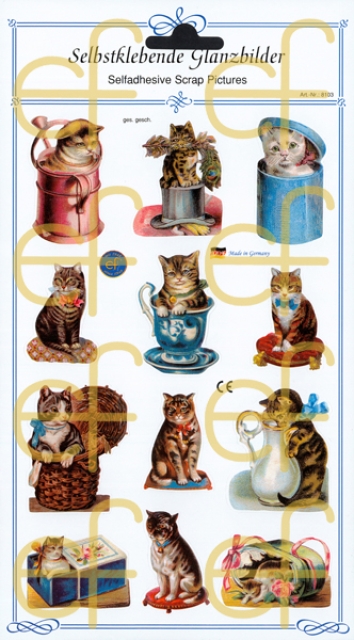 Selbstklebende Glanzbilder Katzen