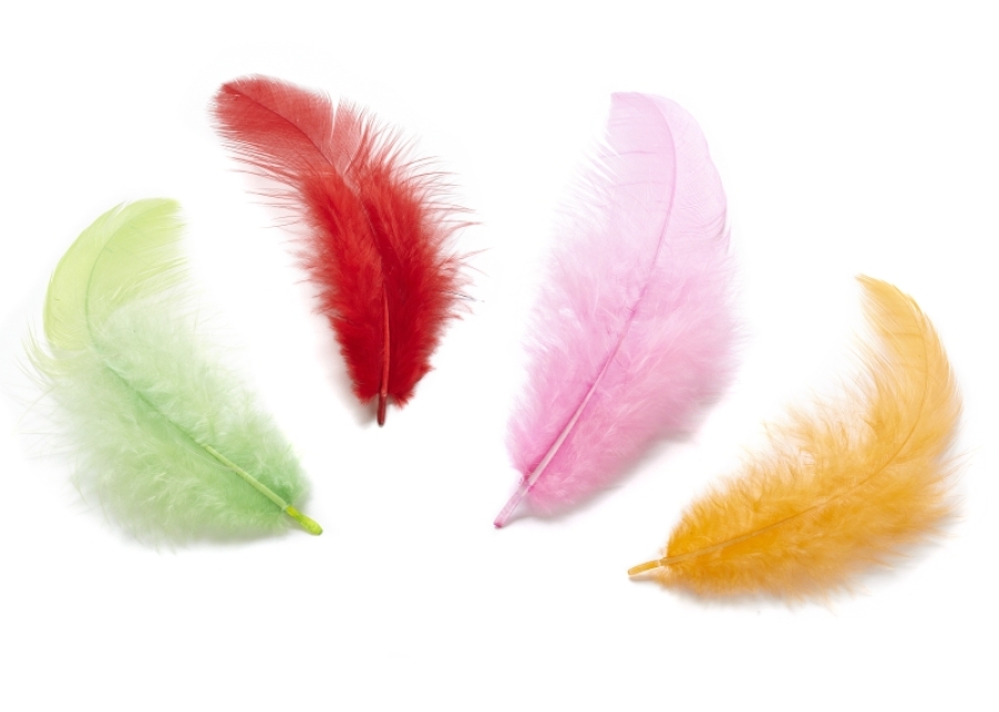 Hobbyfun Deko-Federn II bunt 4 Gramm