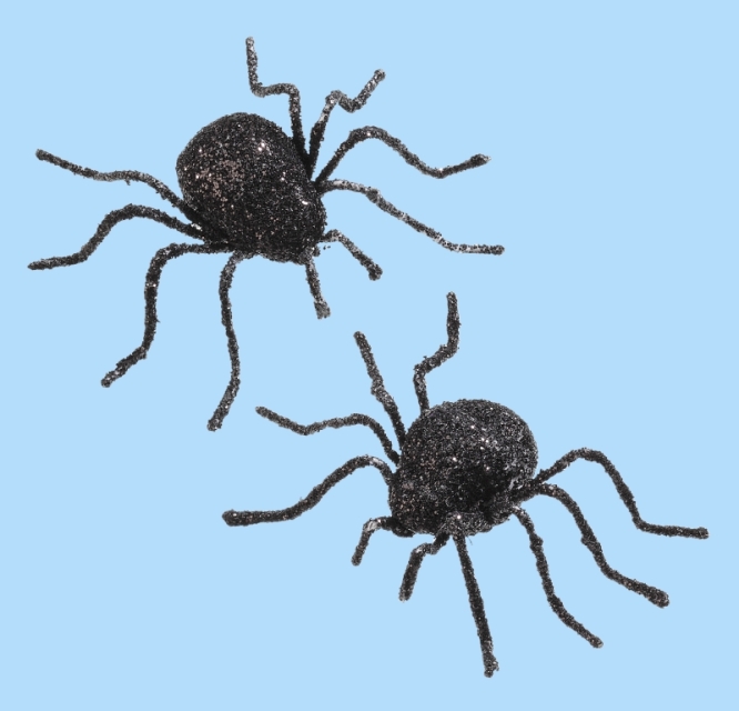 Hobbyfun Spinne 4 cm Set mit 2 Stück schwarz