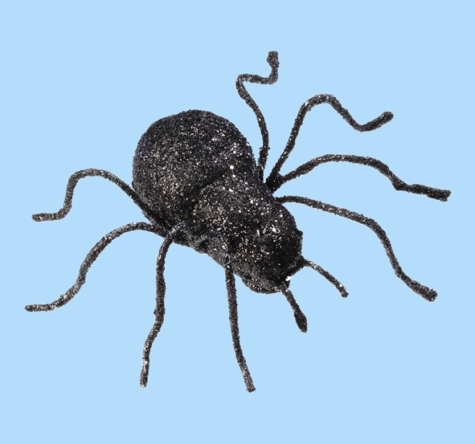 Hobbyfun Spinne 6 cm schwarz