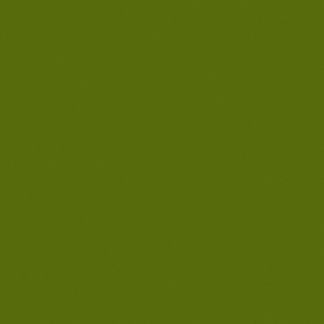 Efcolor Farbschmelzpulver oliv 25 ml