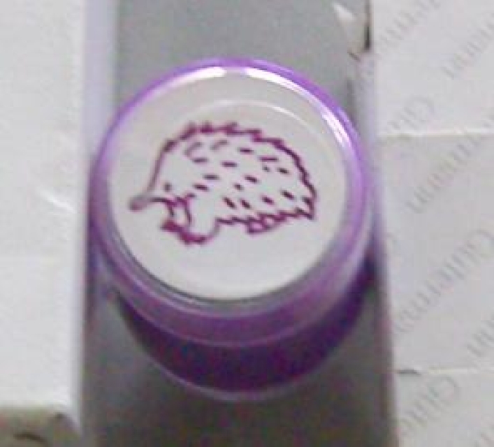 Doppelseitiger Stempel Echidna (Ameisenigel)