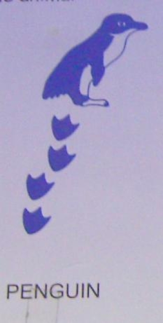 Doppelseitiger Stempel Pinguin