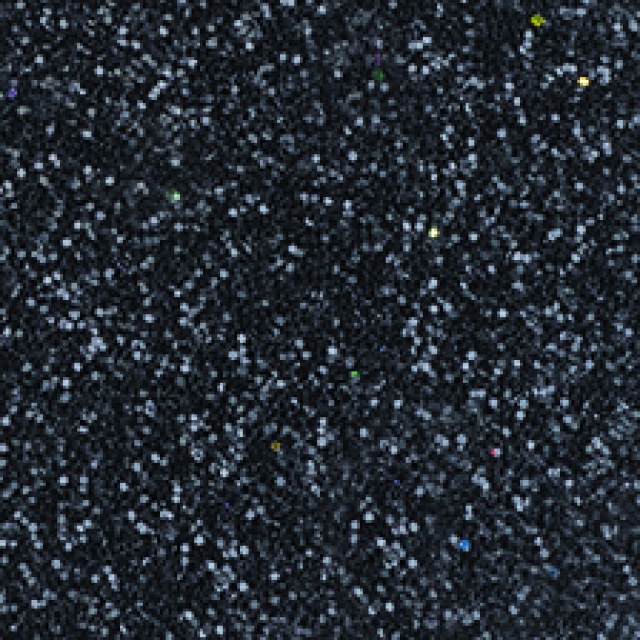 Moosgummiplatte Glitter 200 x 300 x 2 mm schwarz