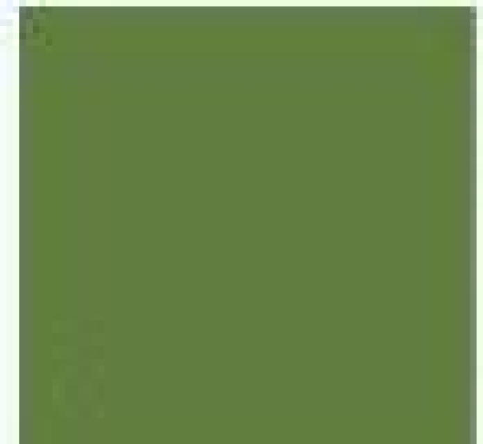 Trendy Filzband 3 mm x 2 cm Rolle zu 1,5 Meter olive