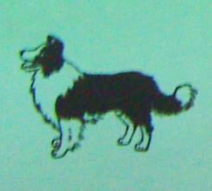 Doppelseitiger Stempel Dog
