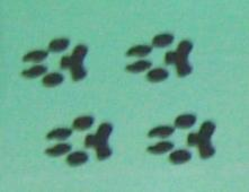 Doppelseitiger Stempel Dog