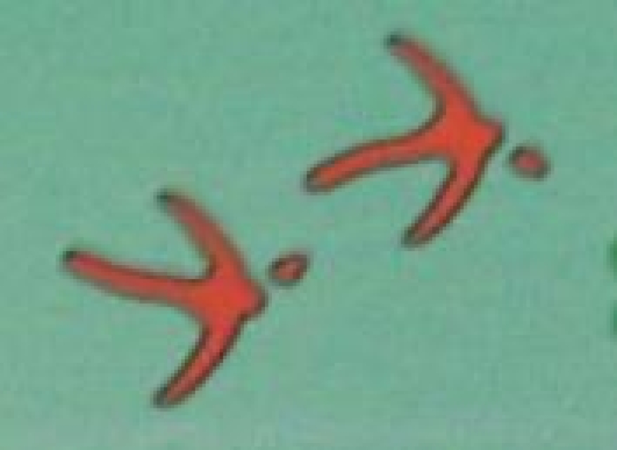 Doppelseitiger Stempel Hen