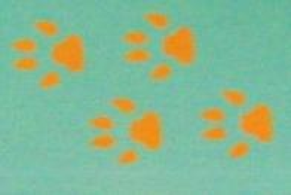 Doppelseitiger Stempel Cat