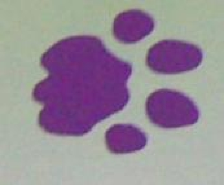 Doppelseitiger Stempel Lion
