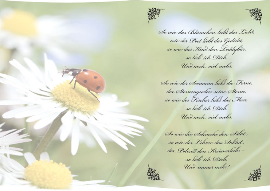Reddy Cards Transparentpapier,  A5, Gedichte, So gern hab ich Dich
