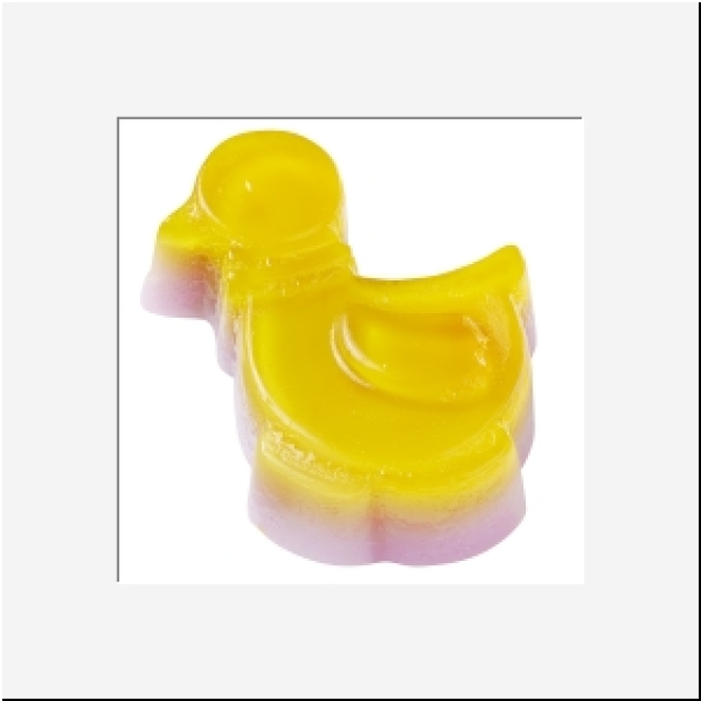 Hobbyfun Silikonform Tiere Zoo