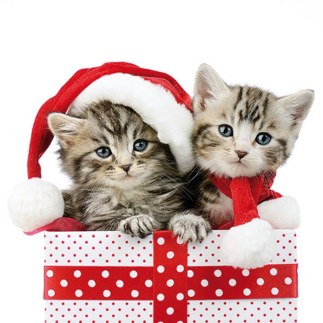 Ambiente Lunch Serviette 33 x 33 cm pro Stück Christmas Kitten