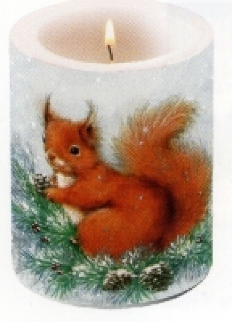 Ambiente 12 x 10 cm Kerze Squirrel on Tree
