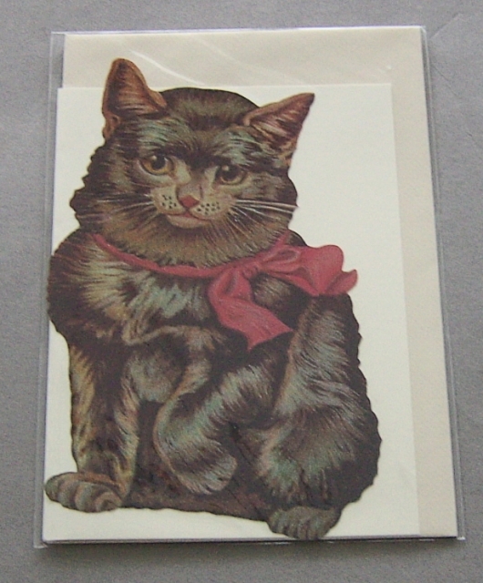 Bildkarte mit passendem Umschlag und Doppelkarte in elfenbein Motiv Katze