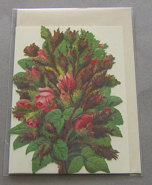 Bildkarte mit passendem Umschlag und Doppelkarte in elfenbein Motiv dunkle Rosen