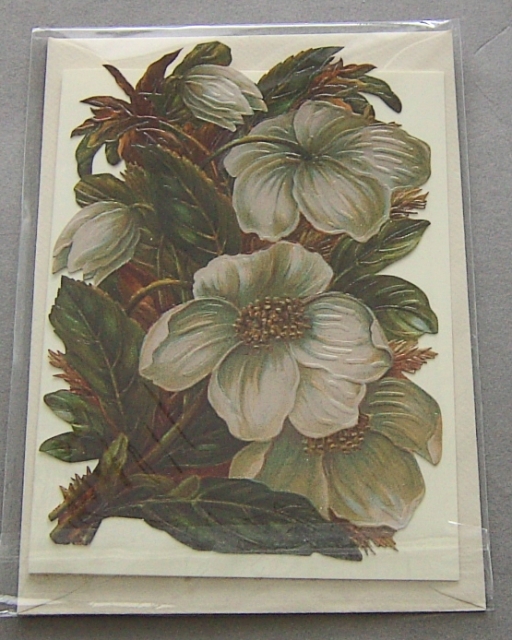 Bildkarte mit passendem Umschlag und Doppelkarte in elfenbein Motiv Weisse Blumen
