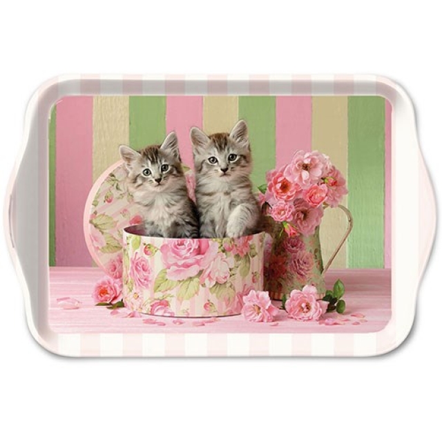 Ambiente Tablett 13 x 21 cm Cats in Box