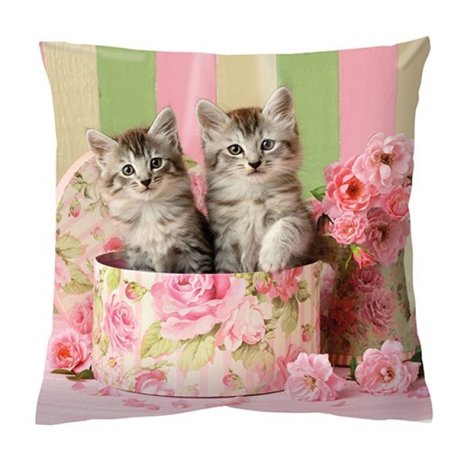 Ambiente Kissen 34 x 34 cm Cats in Box